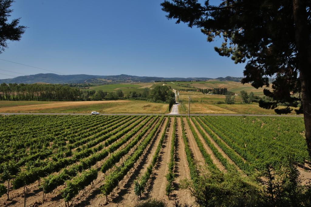 Azienda Agricola E Agriturismo Vallorsi Terricciola Ngoại thất bức ảnh