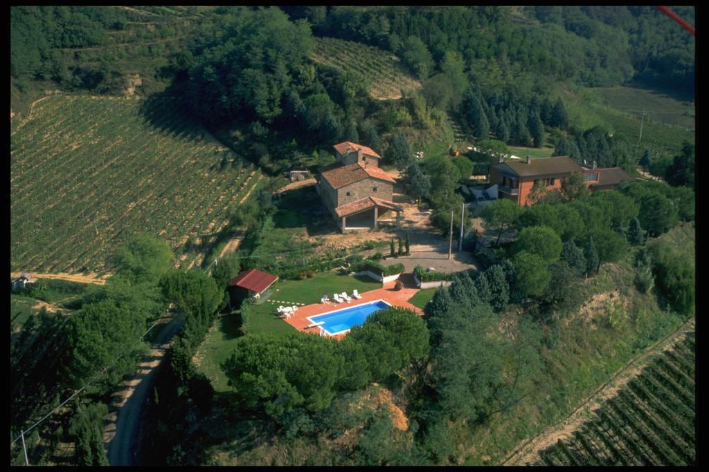 Azienda Agricola E Agriturismo Vallorsi Terricciola Ngoại thất bức ảnh